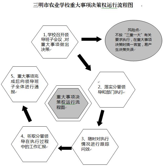 韦德官方网站(中国)科技股份公司重大事项决策权运行流程图.JPG